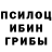 Галлюциногенные грибы Psilocybine cubensis RED_MAN_2077