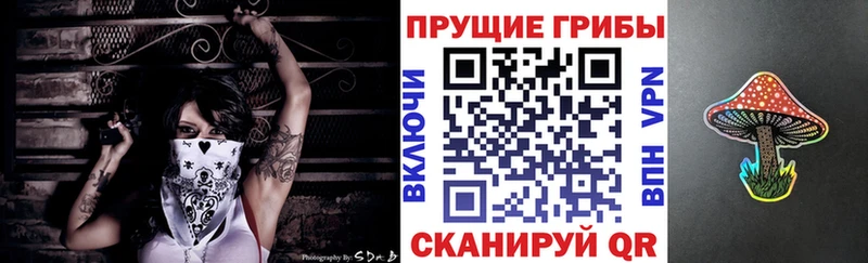 Псилоцибиновые грибы ЛСД  Купить  Жиздра 